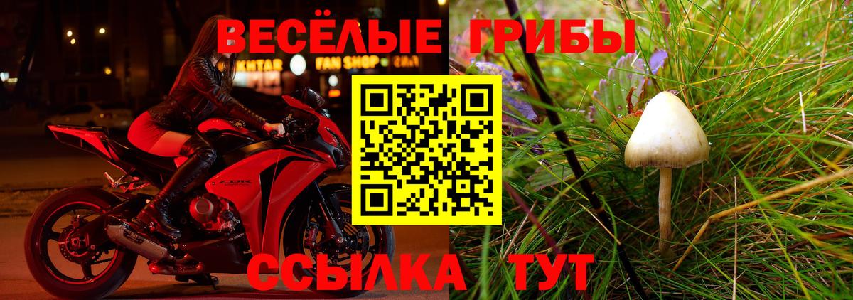 Галлюциногенные грибы мицелий Дербент